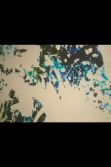 The 'b' Series Trailer
