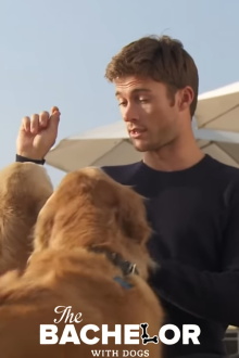 The Bachelor with Dogs and Scott Eastwood Trailer