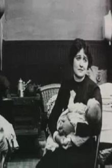 The Bachelor's Baby, or How It All Happened Trailer