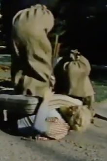 The Baggs Trailer