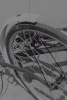 The Ballad of the Battered Bicycle Trailer