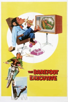 The Barefoot Executive Trailer