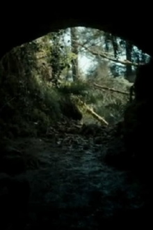 The Beast Trailer