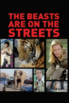 The Beasts Are on the Streets Trailer