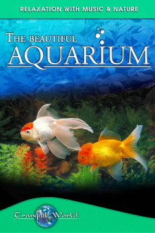 The Beautiful Aquarium: Tranquil World - Relaxation with Music & Nature Trailer