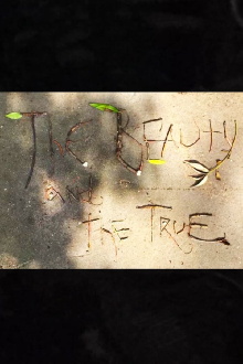 The Beauty and the True Trailer