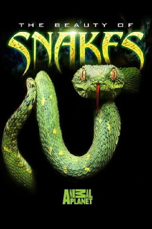 The Beauty of Snakes Trailer