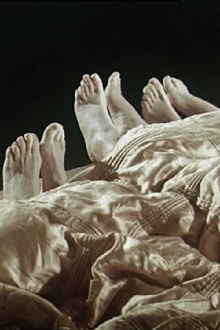 The Bed Trailer