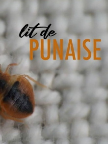The Bedbug Trailer