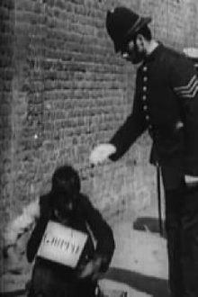 The Beggar's Deceit Trailer