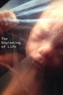 The Beginning of Life Trailer