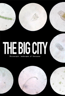 The Big City Trailer