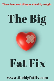 The Big Fat Fix Trailer