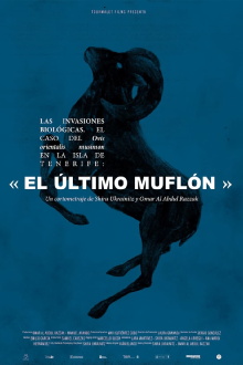 The Biological Invasions. The Case of Ovis Orientalis Musimon on the Island of Tenerife: « The Last Mouflon» Trailer