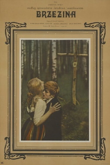 The Birch Wood Trailer