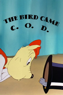 The Bird Came C.O.D. Trailer