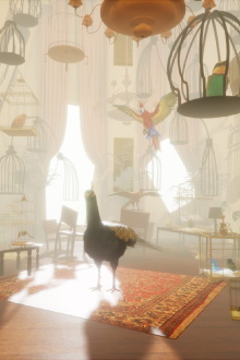 The Bird Lady Trailer
