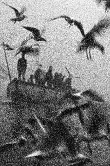 The Birds Trailer