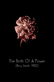 The Birth of a Flower Trailer