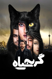 The Black Cat Trailer