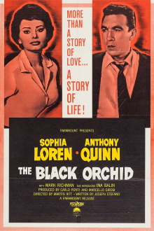 The Black Orchid Trailer