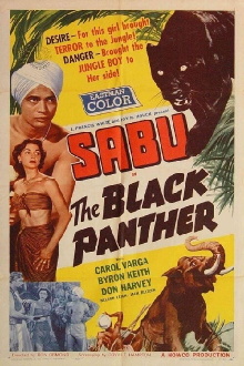 The Black Panther Trailer