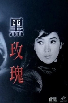 The Black Rose Trailer