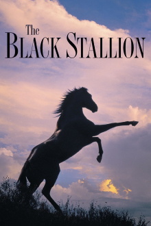 The Black Stallion Trailer