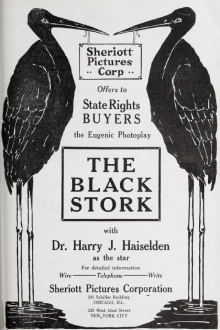 The Black Stork Trailer