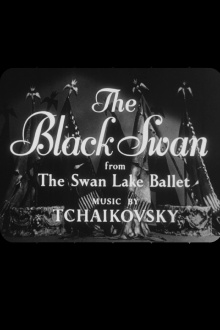 The Black Swan Trailer
