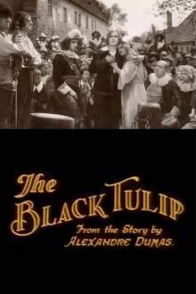 The Black Tulip Trailer