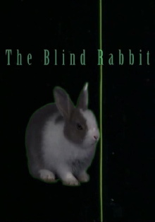 The Blind Rabbit Trailer