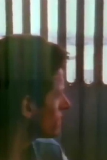 The Blue Nile: Flags and Fences Trailer