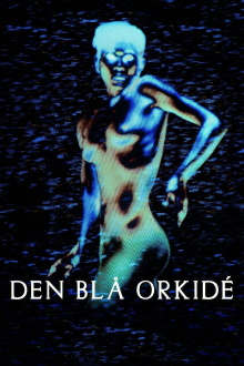 The Blue Orchid Trailer