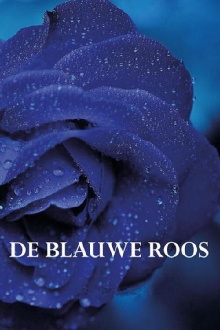 The Blue Rose Trailer