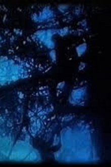 The Blue Walk Trailer