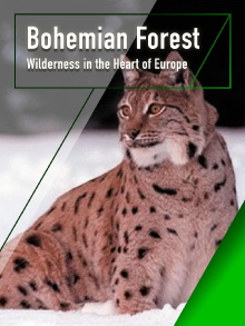 The Bohemian Forest - Wilderness in the Heart of Europe Trailer