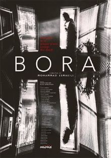 The Bora Trailer