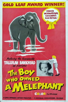 The Boy Who Owned a Melephant Trailer