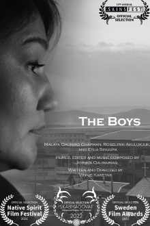 The Boys Trailer