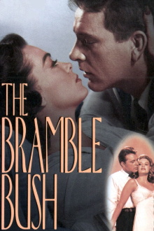 The Bramble Bush Trailer