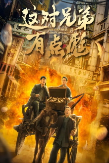 The Brothers Somewhat Bear Trailer