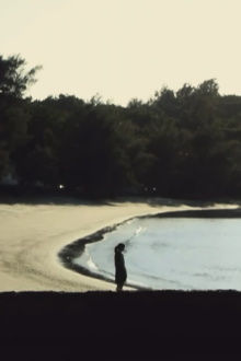 The Brutal Trailer