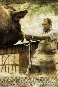 The Bull Trailer