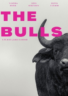 The Bulls Trailer