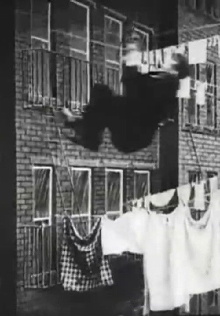 The Burglar's Slide for Life Trailer