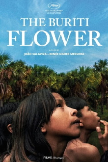 The Buriti Flower Trailer