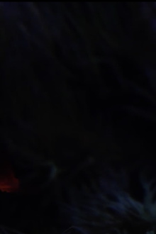 The Butterfly Trailer