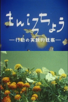 The Cabbage Butterfly Trailer