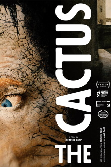 The Cactus Trailer